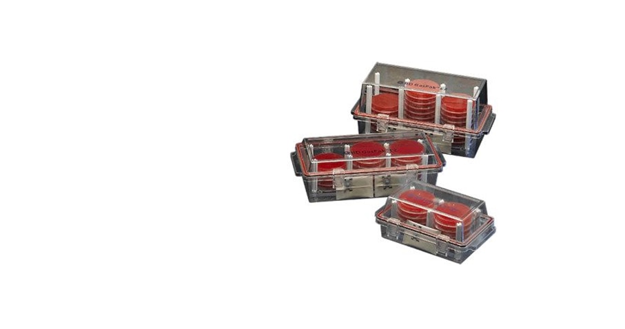 BD GasPak™ EZ Container Systems